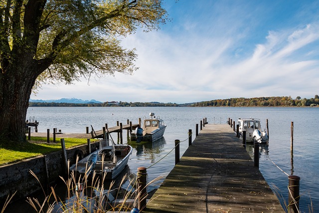 全球范围内 全球范围内