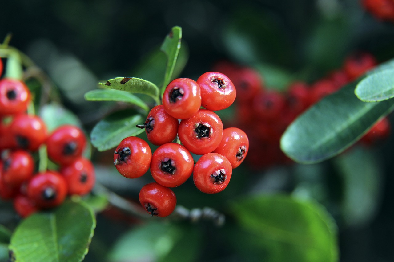 感的友谊 感的友谊