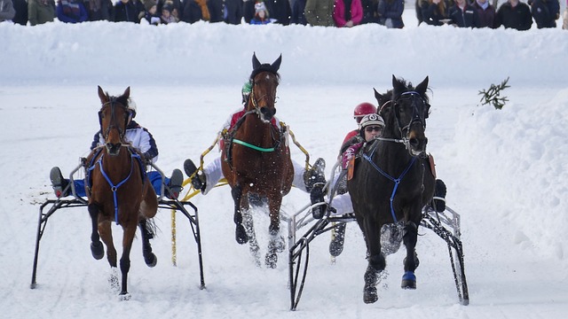 引发了广大 引发了广大