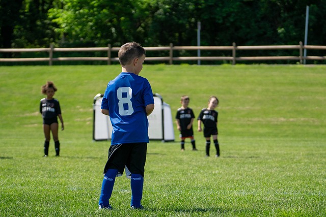 德甲霸主拜 德甲霸主拜