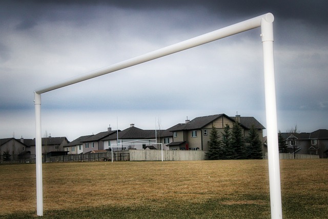 的新成员 的新成员