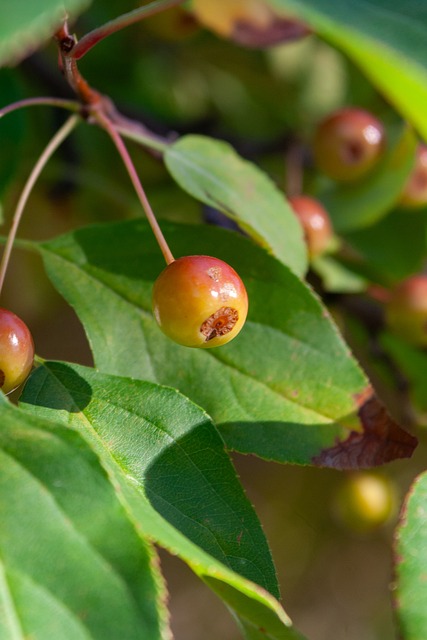这位年轻得 这位年轻得